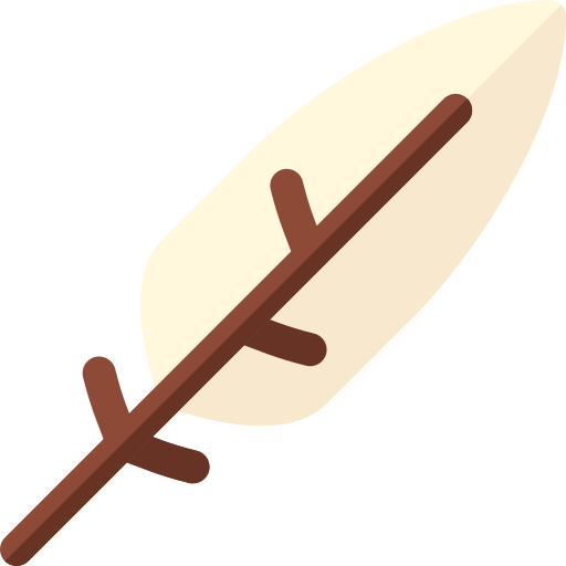 Feather icon