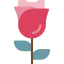 Rose icon 64x64