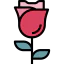 Rose icon 64x64