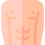 Abs icon 64x64