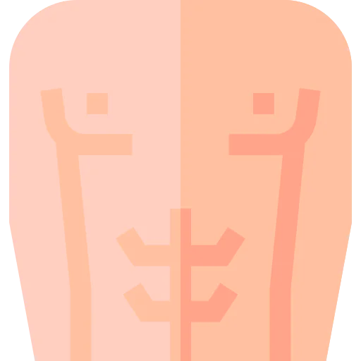 Abs icon