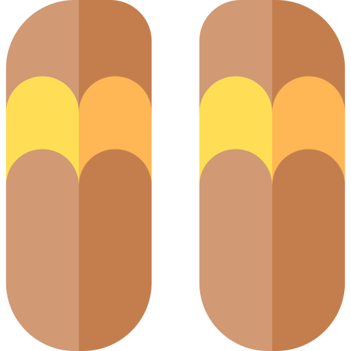 Flip flops icon