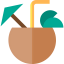 Coconut drink icon 64x64