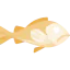 Fish icon 64x64