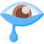 Watery eyes icon 64x64