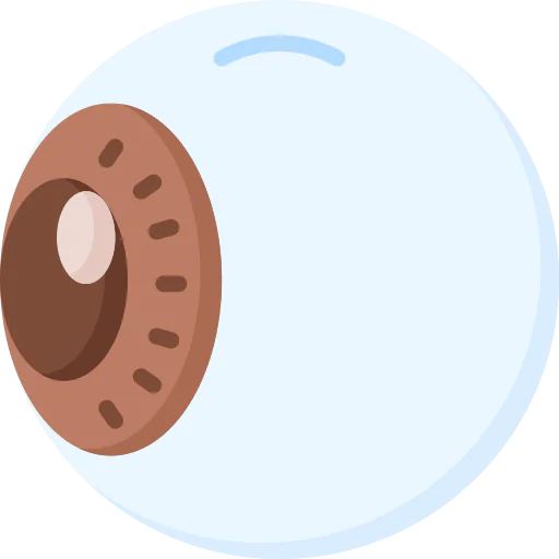 Eye icon