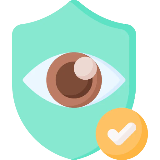 Vision icon