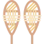 Snowshoes icon 64x64