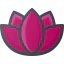 Lotus icon 64x64