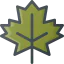 Maple leaf icon 64x64