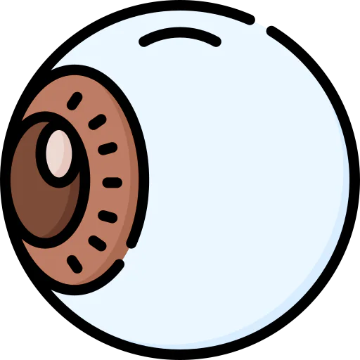 Eye icon