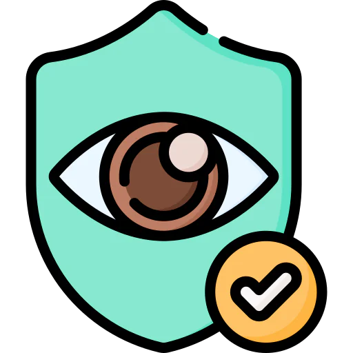 Vision icon