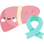 Liver icon 64x64