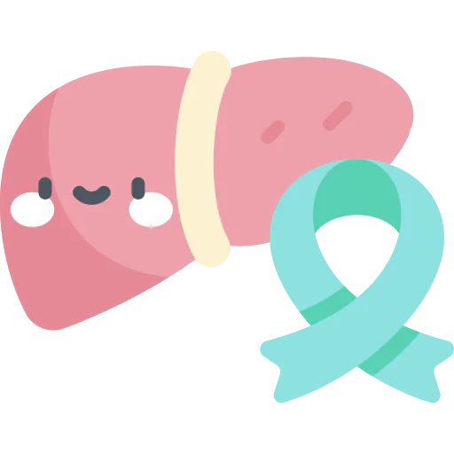 Liver icon