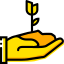 Sprout icon 64x64
