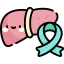 Liver icon 64x64