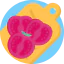 Tomato icon 64x64