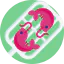 Shrimps icon 64x64