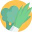 Vegetable icon 64x64