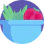 Salad icon 64x64