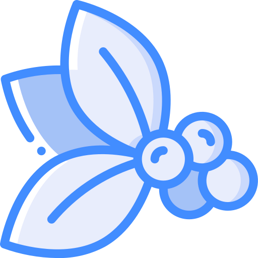 Berries icon