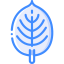 Leaf icon 64x64