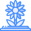 Flower icon 64x64