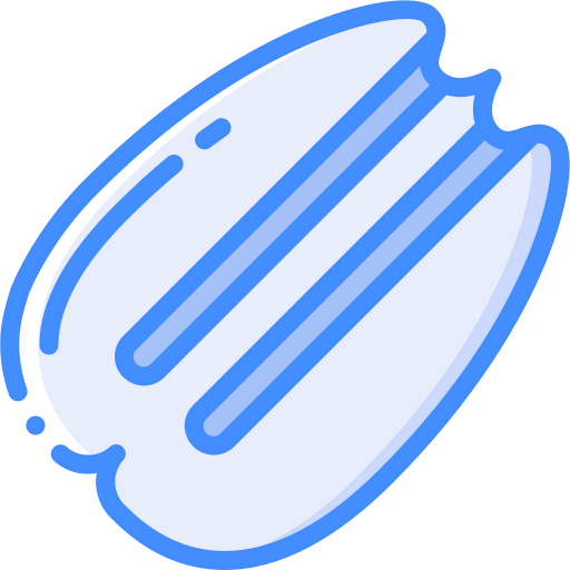 Pecan icon