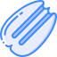 Pecan icon 64x64