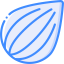 Seed icon 64x64
