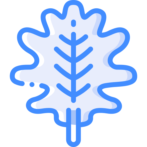 Oak leaf icon