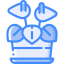 Flowers icon 64x64