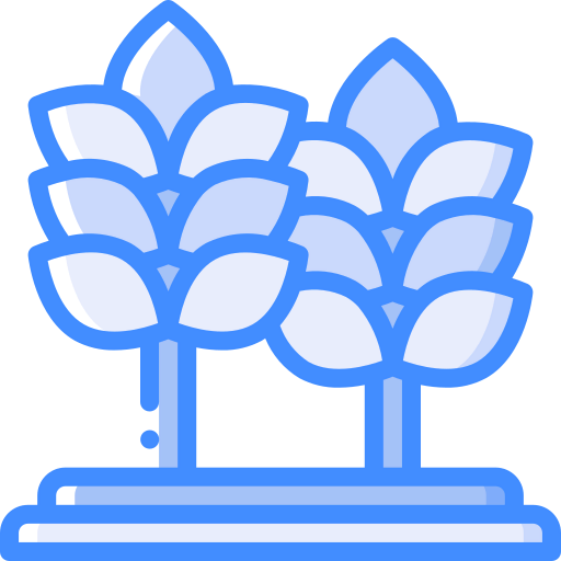 Wheat icon