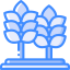 Wheat icon 64x64