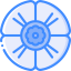 Poppy icon 64x64