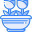 Tulips icon 64x64