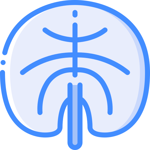 Leaf icon