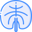Leaf icon 64x64