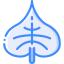 Leaf icon 64x64