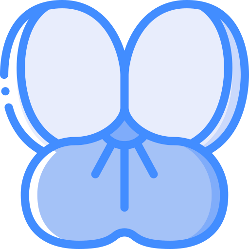 Viola icon