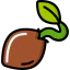 Seed icon 64x64