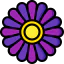Daisy icon 64x64