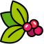 Berries icon 64x64