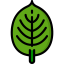 Leaf icon 64x64