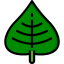 Leaf icon 64x64