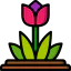 Tulip icon 64x64