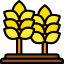 Wheat icon 64x64