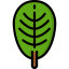 Leaf icon 64x64