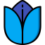 Tulip icon 64x64