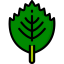 Leaf icon 64x64